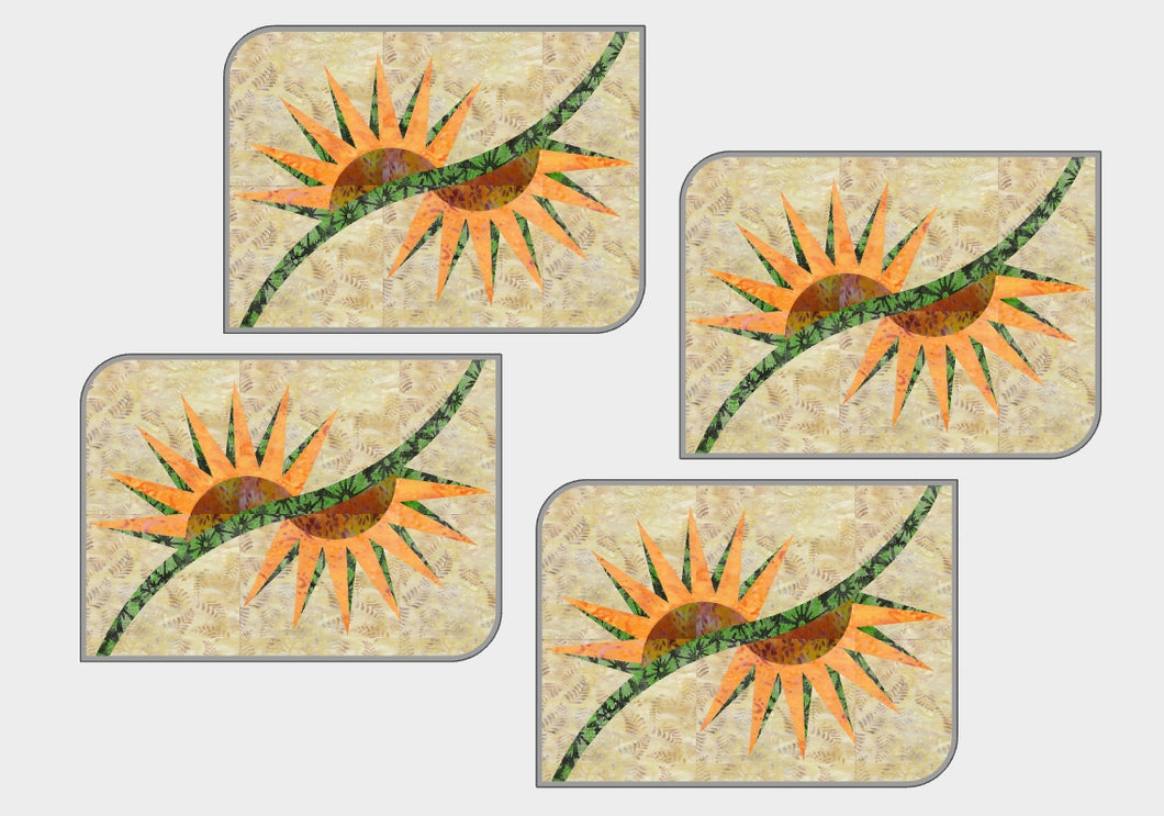 Quiltworx - Broken Daisy Placemats & Kit Option 2