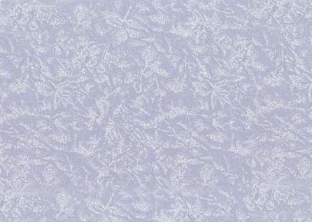 F 376 - Twilight